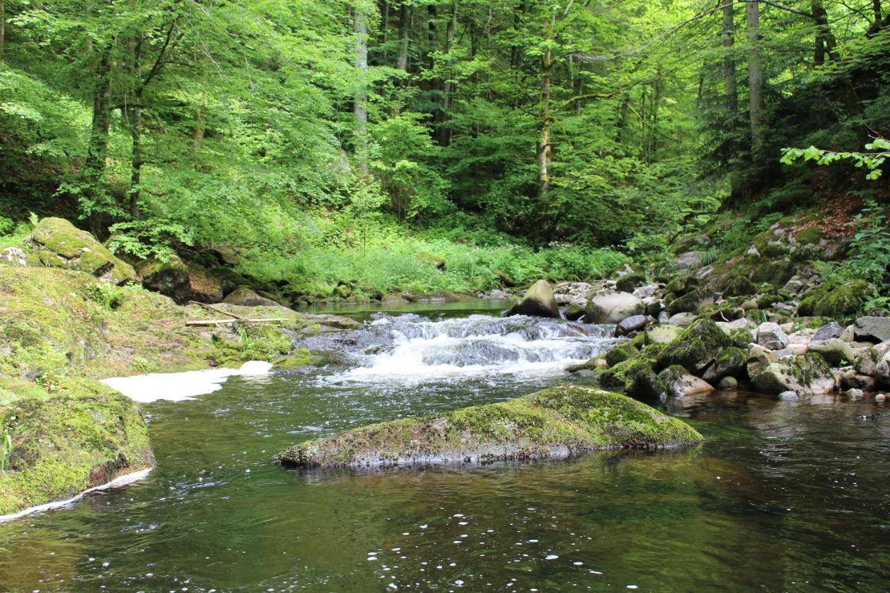 Ferienwohnung Hofleben Reiner Neukirchen vorm Wald 外观 照片